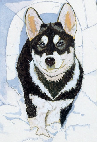 Siberian Husky Dog Birthday Card 5 x 7 with envelope - Pipsqueakproductions