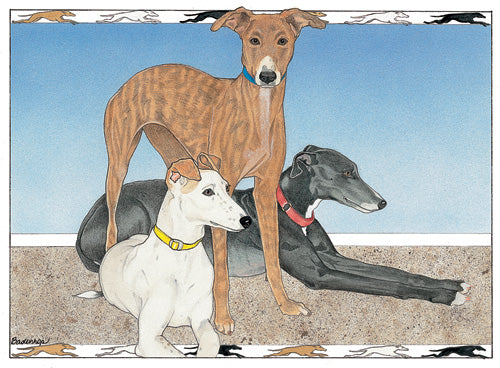 Greyhound Birthday Card 5 x 7 with Envelope - Pipsqueakproductions