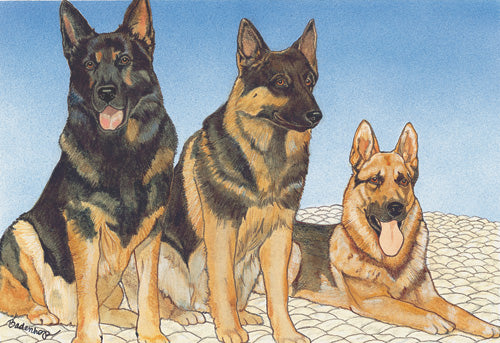 German Shepherd Birthday Card 5 x 7 with Envelope - Pipsqueakproductions