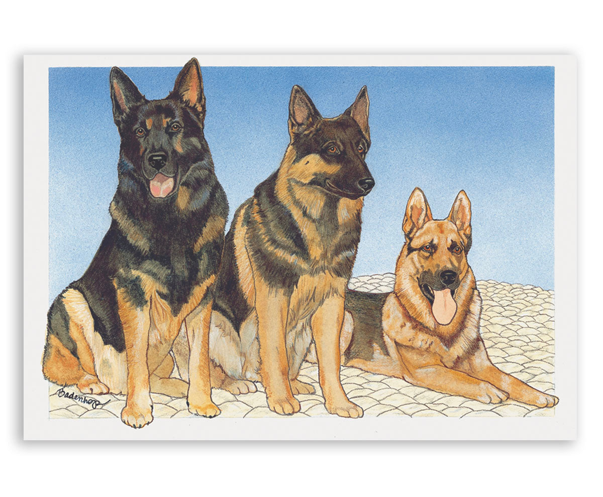 German Shepherd Art Blank Note Cards Set of 10 Cards with Envelopes - Pipsqueakproductions