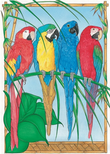 Macaw Blank Note Card - Pipsqueakproductions