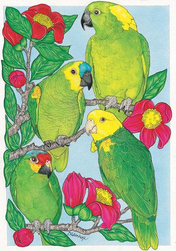 Amazon Parrot Birthday Card 5 x 7 with Envelope - Pipsqueakproductions