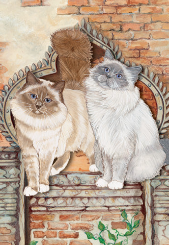 Birman Cat Birthday Card 5 x 7 with Envelope - Pipsqueakproductions