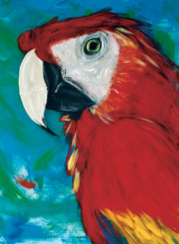 Macaw Parrot Birthday Card 5 x 7 with Envelope - Pipsqueakproductions