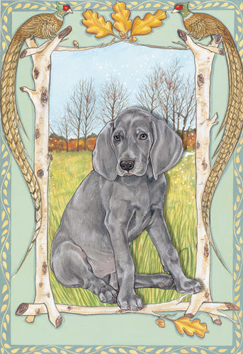 Weimaraner Birthday Card 5 x 7 with Envelope - Pipsqueakproductions