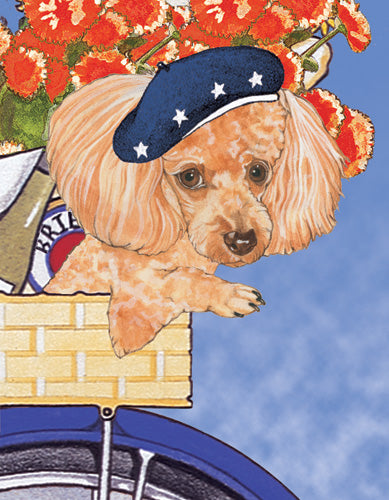 Poodle Birthday Card 5 x 7 with Envelope - Pipsqueakproductions