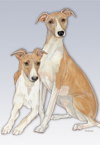 Whippet Blank Note Card - Pipsqueakproductions