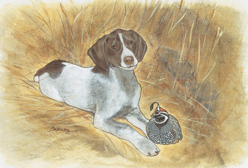 Pointer Birthday Card 5 x 7 with Envelope - Pipsqueakproductions