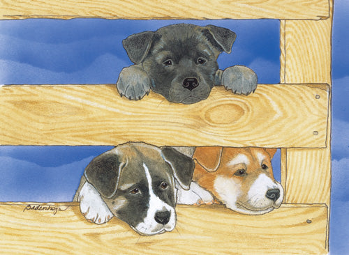 Akita Birthday Card 5 x 7 with Envelope - Pipsqueakproductions