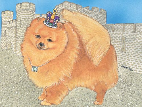 Pomeranian Birthday Card 5 x 7 with Envelope - Pipsqueakproductions