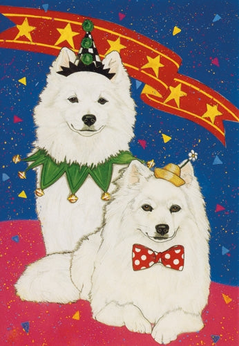 American Eskimo Blank Note Card - Pipsqueakproductions