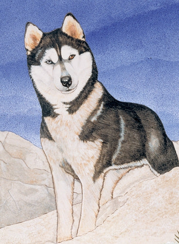 Siberian Husky Blank Note Card - Pipsqueakproductions