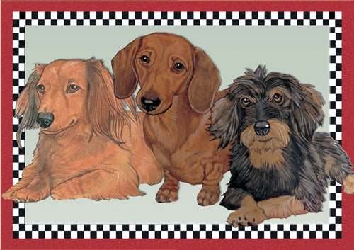 Dachshund Blank Note Card - Pipsqueakproductions