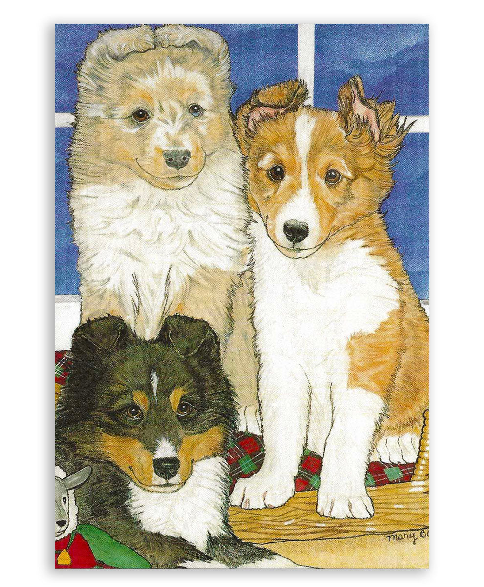 Shetland Sheepdog Art Blank Note Cards Set of 10 Cards with Envelopes - Pipsqueakproductions