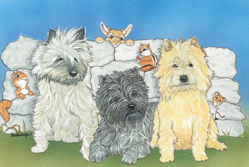 Cairn Terrier Birthday Card 5 x 7 with Envelope - Pipsqueakproductions