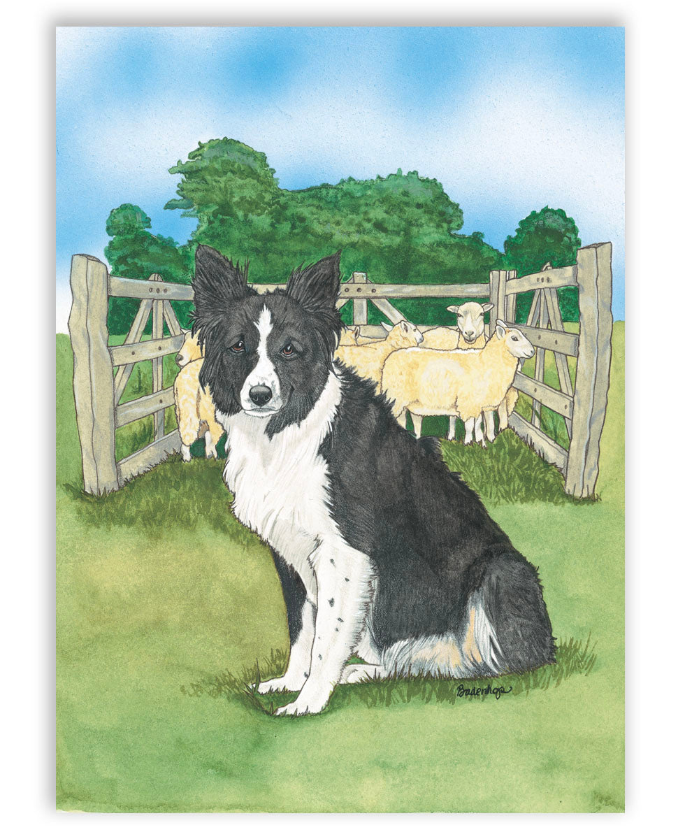Border Collie Art Blank Note Cards Set of 10 Cards with Envelopes
