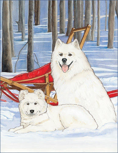 Samoyed Blank Note Card - Pipsqueakproductions