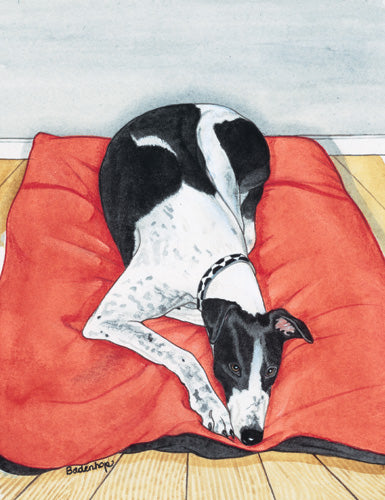 Greyhound Birthday Card 5 x 7 with Envelope - Pipsqueakproductions