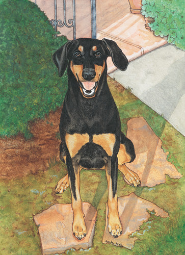 Doberman Pincher Blank Note Cards Boxed - Pipsqueakproductions