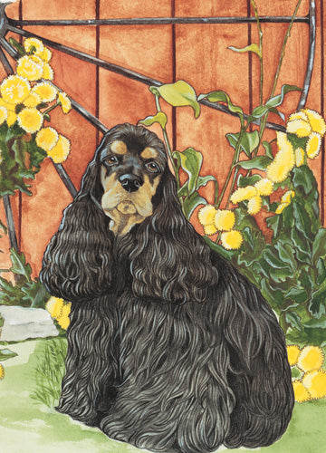 Cocker Spaniel Birthday Card 5 x 7 with Envelope - Pipsqueakproductions