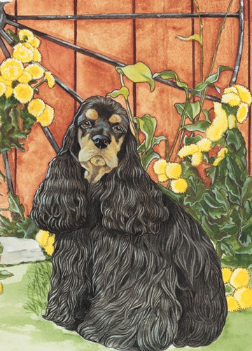 Cocker Spaniel Blank Note Card - Pipsqueakproductions