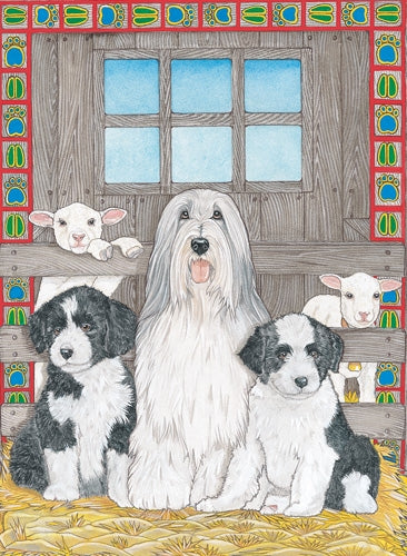 Bearded Collie Blank Note Card - Pipsqueakproductions