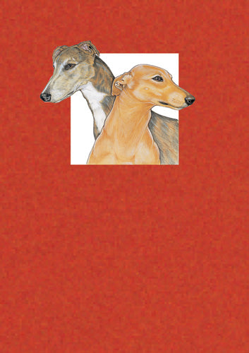 Greyhound Birthday Card 5 x 7 with Envelope - Pipsqueakproductions