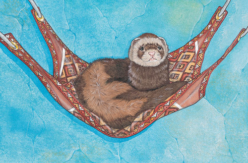 Ferret Note Cards Set of 10 cards & 10 envelopes - Pipsqueakproductions