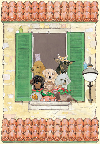 Dog, Cat with other Pets Blank Note Cards Boxed - Pipsqueakproductions