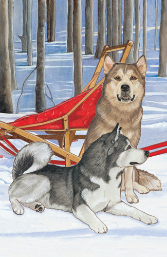 Alaskan Malamute Birthday Card 5 x 7 with Envelope - Pipsqueakproductions