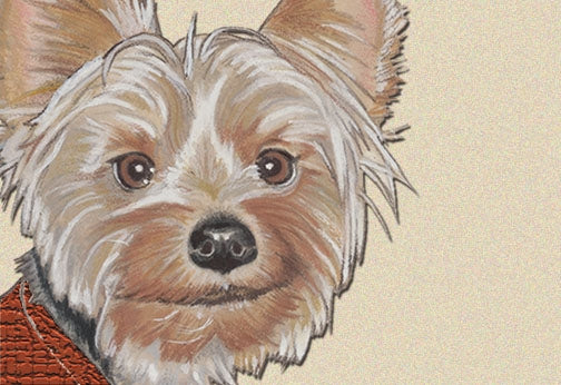 Yorkshire Terrier Small Blank Note Card - Pipsqueakproductions