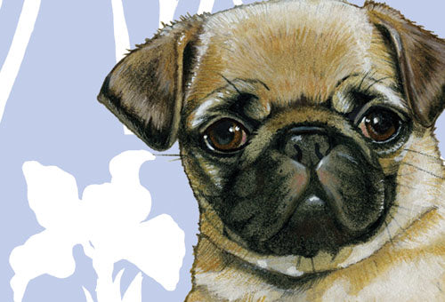 Pug Small Blank Note Cards Boxed - Pipsqueakproductions