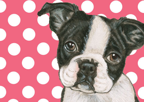 Boston Terrier Small Blank Note Cards Boxed - Pipsqueakproductions