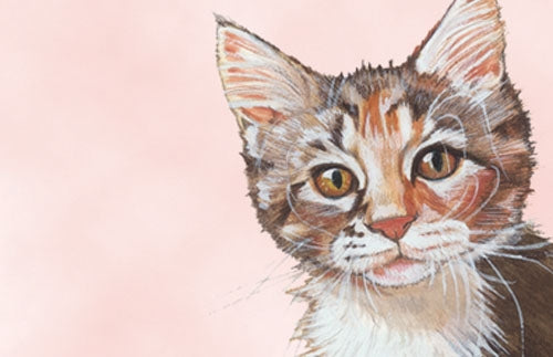 Cat Calico Small Blank Note Card - Pipsqueakproductions