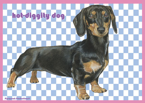 Dachshund Small Blank Note Cards Boxed - Pipsqueakproductions