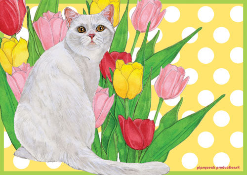 Cat White Cat Small Blank Note Cards Boxed - Pipsqueakproductions