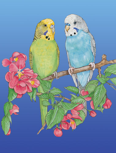 Parakeet Blank Note Cards Boxed - Pipsqueakproductions