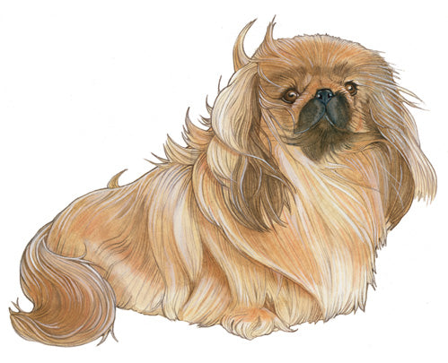 Pekingese Magnet Wooden - Pipsqueakproductions