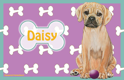 Placemat Personalization Laminated 11" x 17" - Pipsqueakproductions