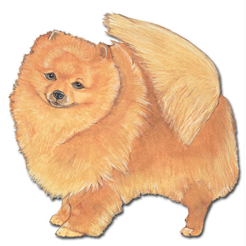 Pomeranian Magnet Wooden - Pipsqueakproductions