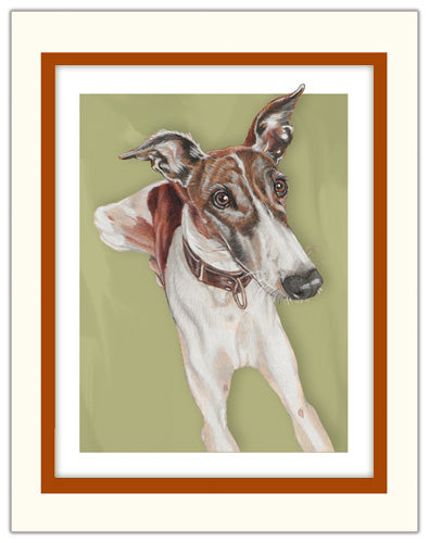 Greyhound Brindle and White Limited Edition Matted Print - Pipsqueakproductions