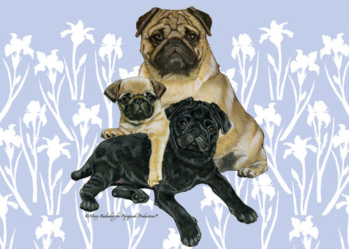 Pug Black Note Cards Boxed - Pipsqueakproductions