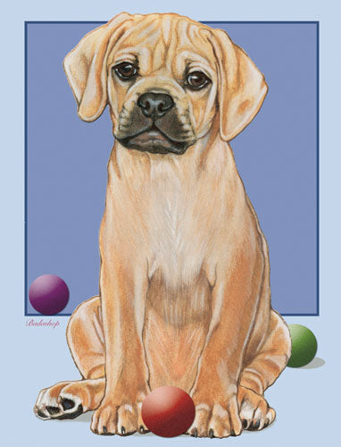 Puggle Blank Note Cards Boxed - Pipsqueakproductions