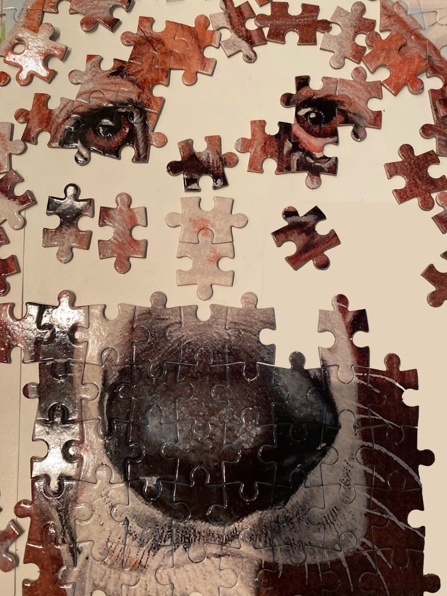 Basset Hound Jigsaw Puzzle, 500-piece with reusable Tin, from painting “Daisy” by Mary Badenhop, Art Puzzle, Cute Gifts for Dog Lovers