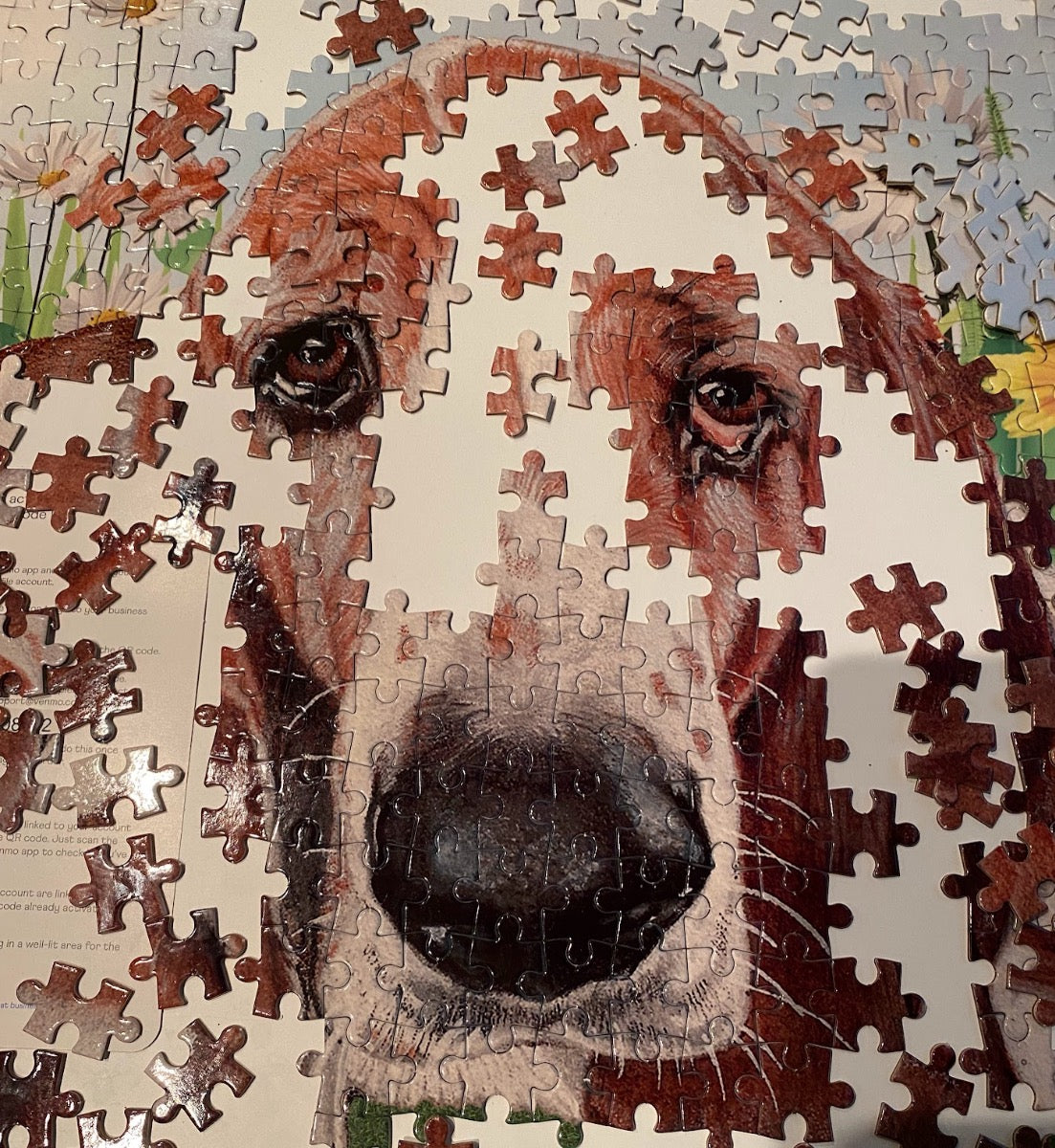 Basset Hound Jigsaw Puzzle, 500-piece with reusable Tin, from painting “Daisy” by Mary Badenhop, Art Puzzle, Cute Gifts for Dog Lovers