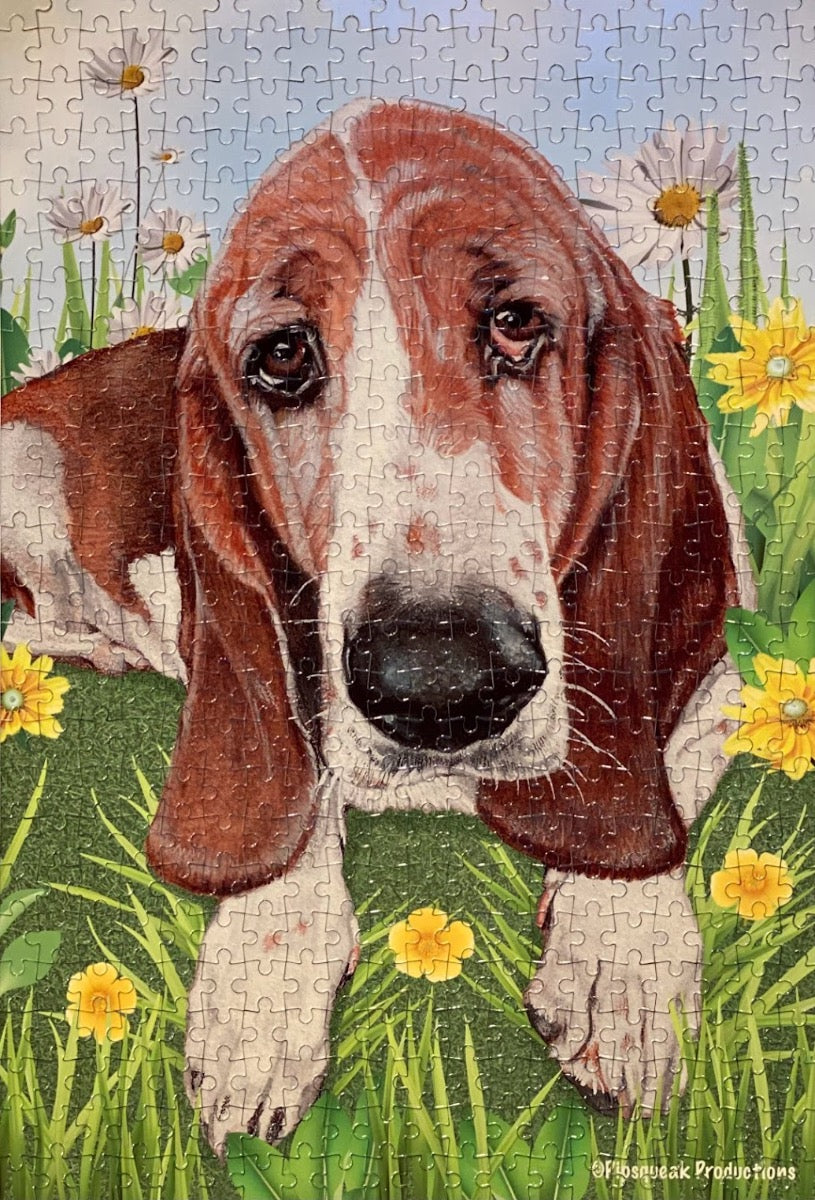 Basset Hound Jigsaw Puzzle, 500-piece with reusable Tin, from painting “Daisy” by Mary Badenhop, Art Puzzle, Cute Gifts for Dog Lovers