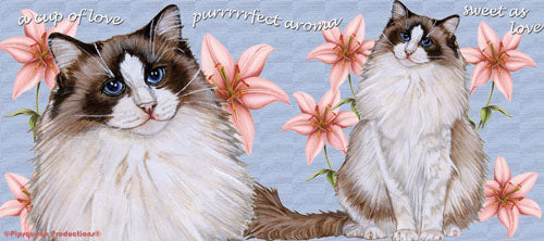 Ragdoll Cat Ceramic Coffee Mug Tea Cup 15 oz - Pipsqueakproductions