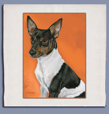 Rat Terrier Dish Towel - Pipsqueakproductions