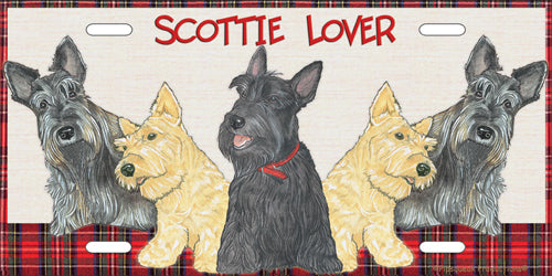 Scottish Terrier License Plate, Car Accessory, Auto Tag, Bedroom Sign, Fun Dog Lover Gift - Pipsqueakproductions
