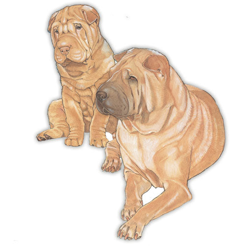 Shar Pei Magnet Wooden - Pipsqueakproductions